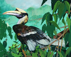 Great Hornbill ©Lewis Cisle
