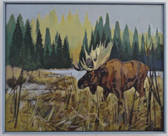 Moose ,Late Fall Northern Maine ©Lewis Cisle